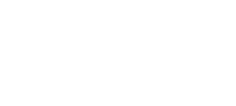 Camp Bow Wow